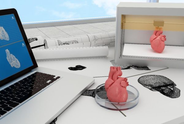 3d-printed metal human organs, including a heart and lungs, displayed beside a laptop showing their digital blueprints in a lab setting.